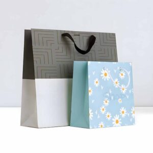 Custom Printed Paper Bags